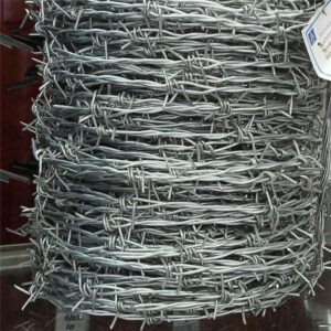 barbed wire (1)