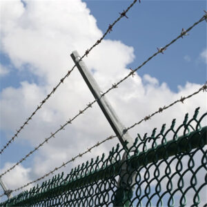 barbed wire (2)