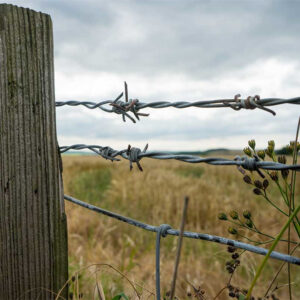 barbed wire (3)